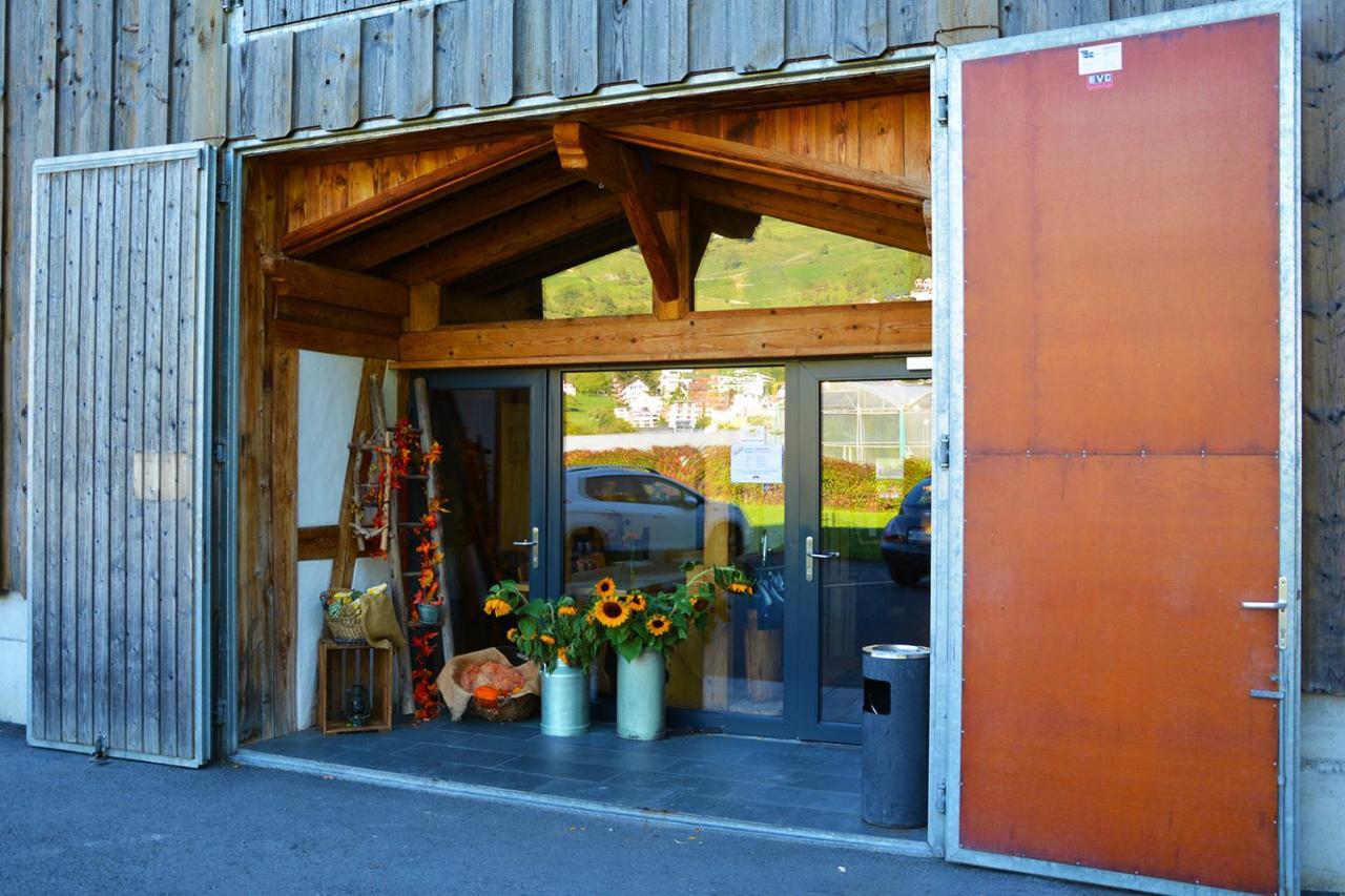 Ribelhof Panzió Altstätten Kültér fotó