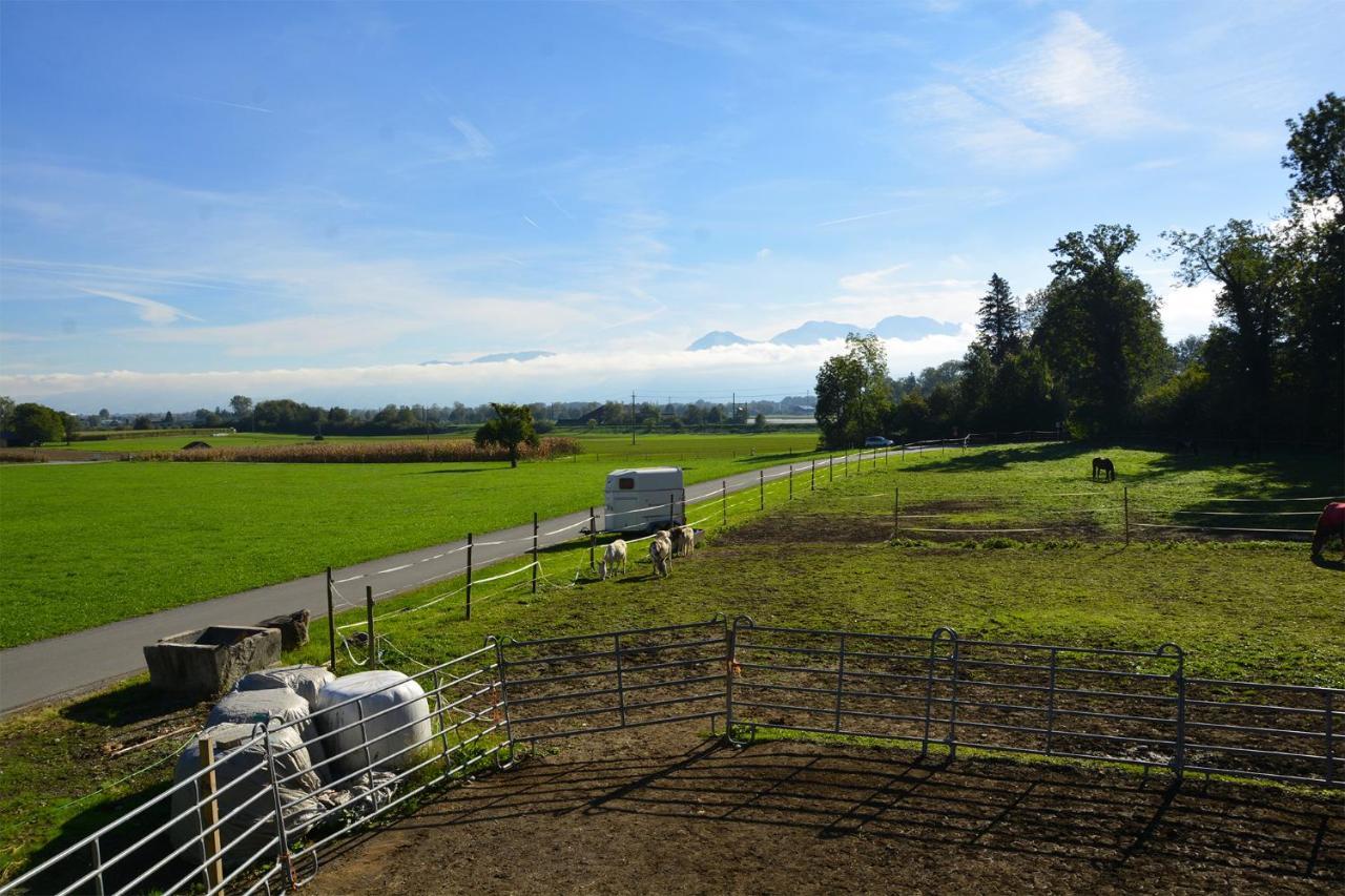 Ribelhof Panzió Altstätten Kültér fotó
